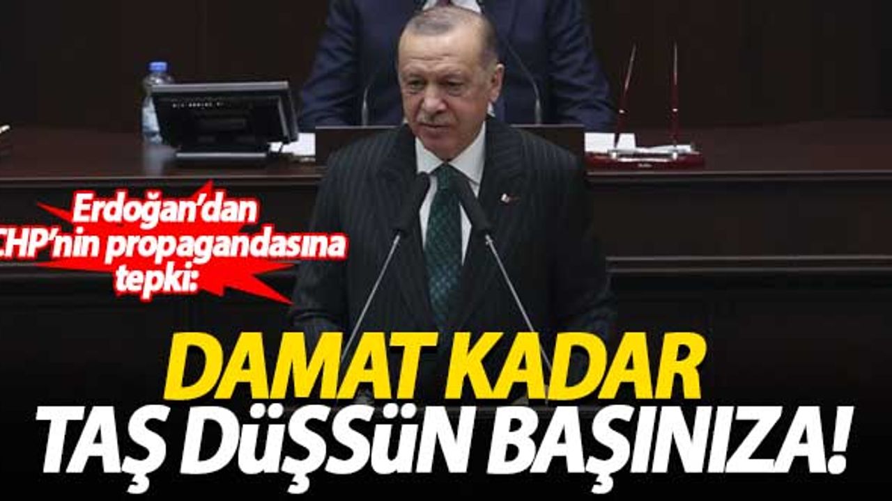 Erdoğan'dan CHP'ye tepki: Damat kadar taş düşsün başınıza!