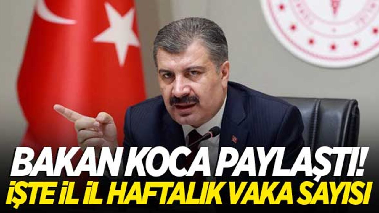 Bakan Koca paylaştı! İşte il il vaka haritası...
