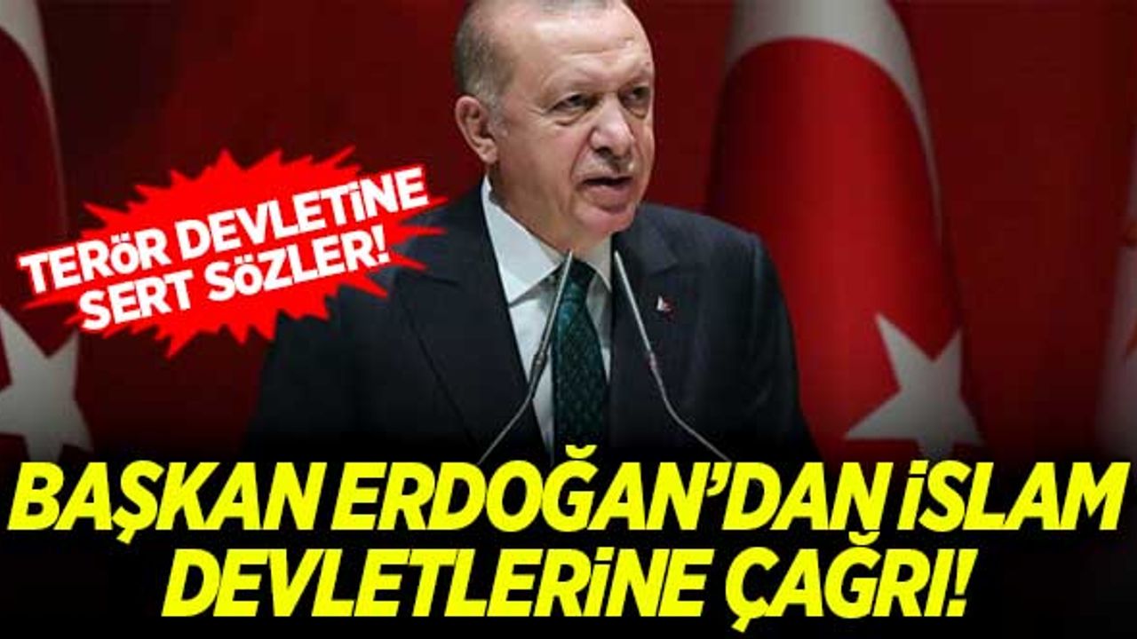 Başkan Erdoğan'dan terör devleti İsrail'e sert sözler! Çağrıda bulundu