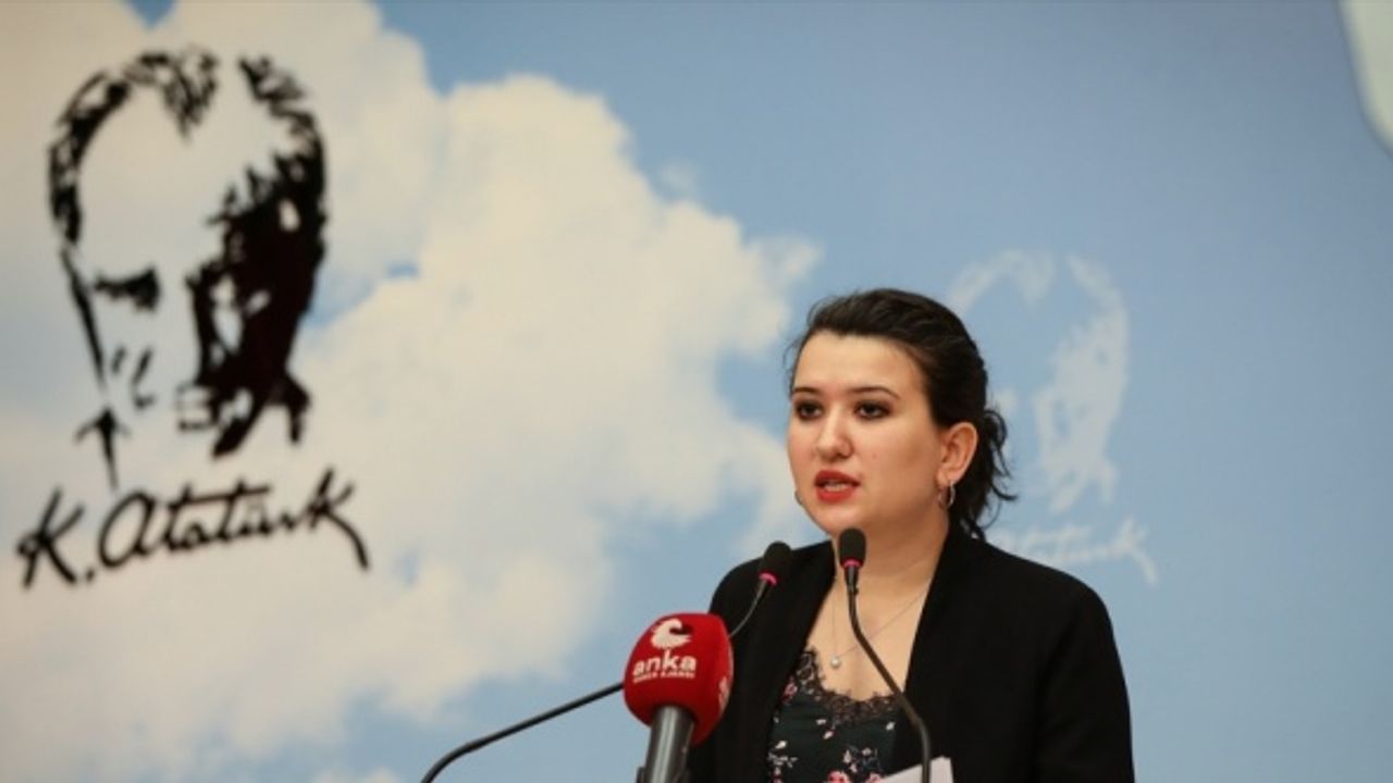 CHP Genel Başkan Yardımcısı Gökçen: Gençlerin istihdam sorununu biz çözeceğiz