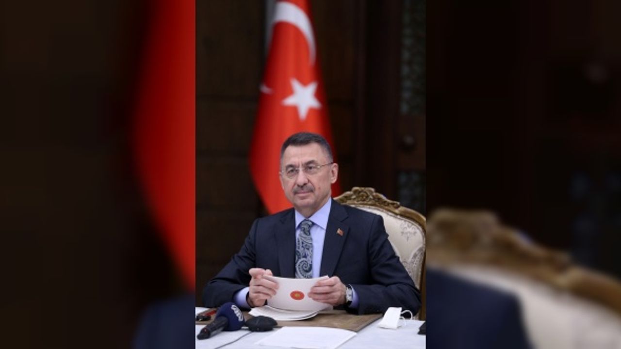 Oktay, 'Dijitalleşme ve Gençlerimizin Geleceğine Yatırım' başlıklı webinarda konuştu