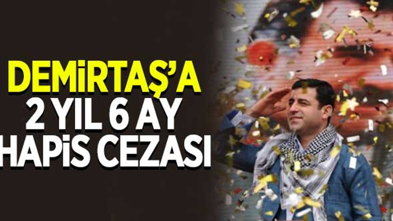 Demirtaş'a 2 yıl 6 ay hapis cezası