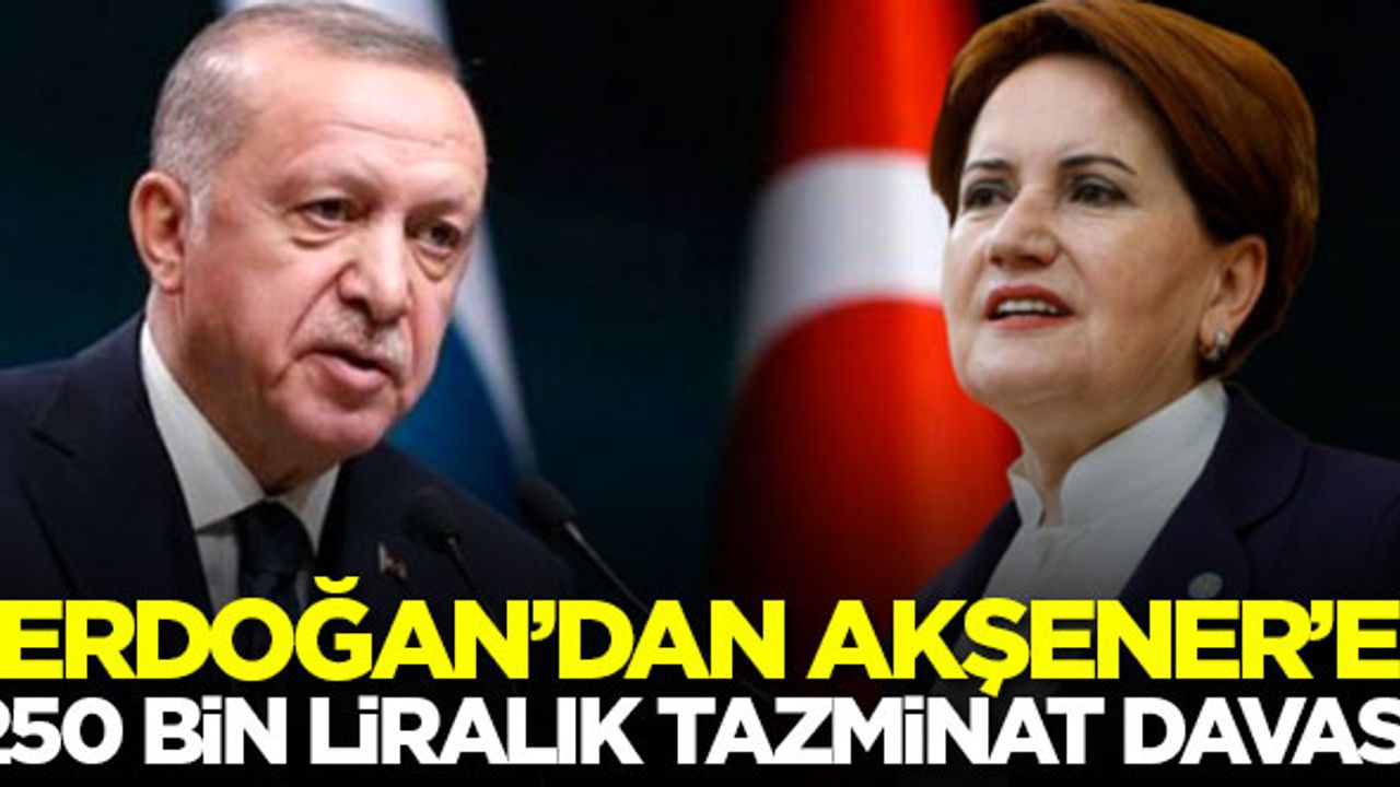 Erdoğan'dan Akşener'e 250 bin liralık tazminat davası