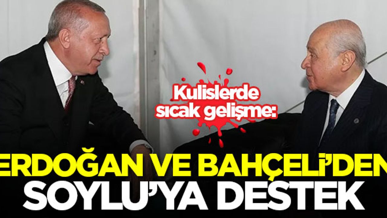 'Erdoğan ve Bahçeli, Soylu'ya destek veriyor'