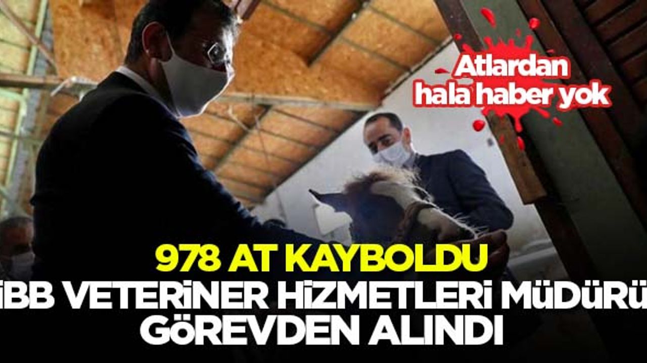 Kayıp 978 atın ardından, İBB Veteriner Hizmetleri Müdürü görevden alındı