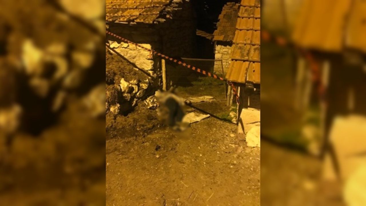 Kütahya'da elektrik sayacının sökülmesi nedeniyle çıkan kavgada silahla vurulan kişi öldü