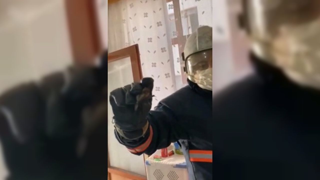 Mersin'de evin mutfağındaki davlumbaza giren 4 yarasa çıkarılıp doğaya bırakıldı
