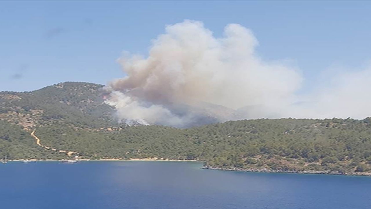 Milas'ta ormanlık alandaki yangına müdahale ediliyor