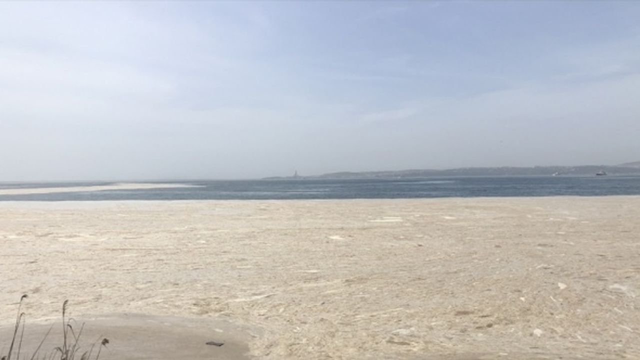 Yalova Altınova sahilinde “deniz salyası“ nedeniyle beyaz tabaka oluştu