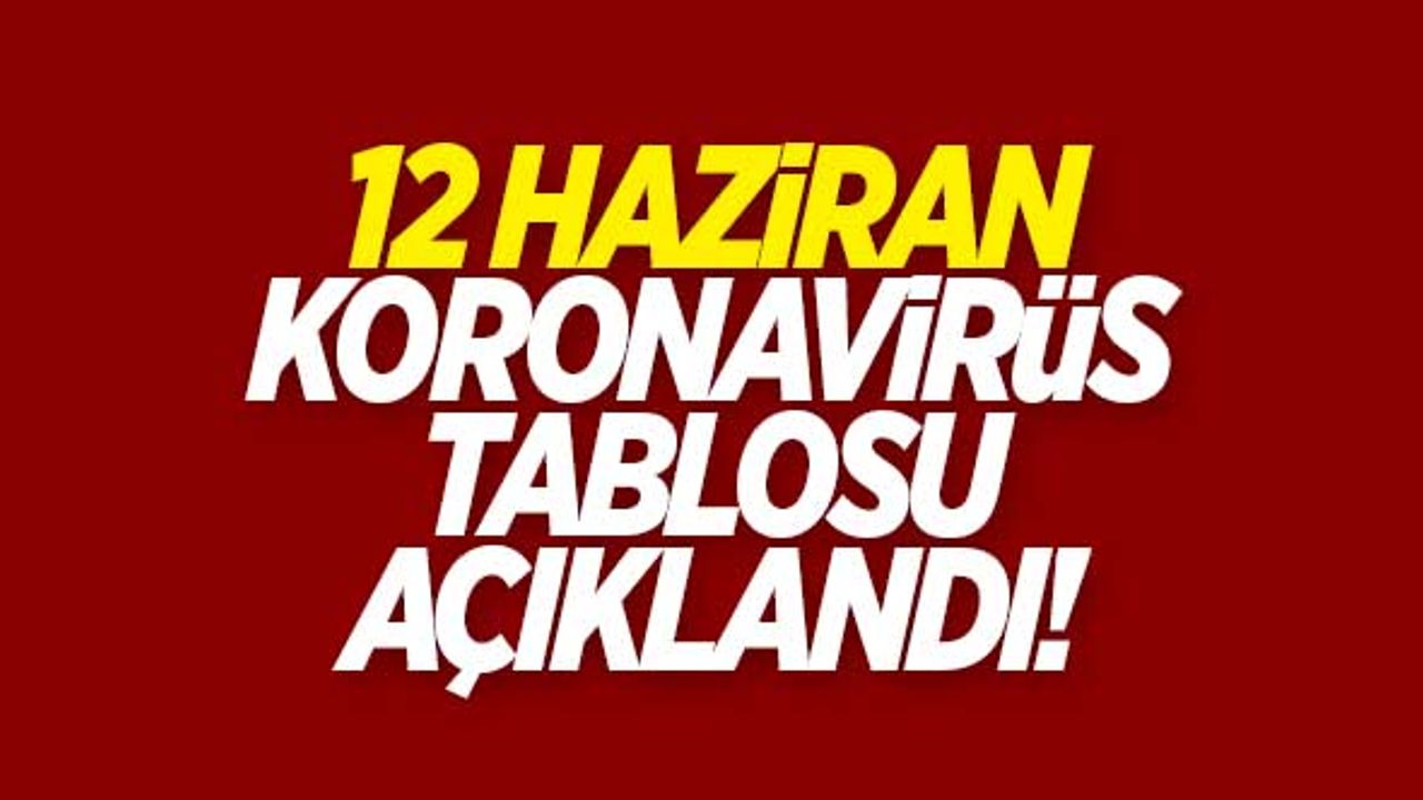 12 Haziran koronavirüs tablosu açıklandı!