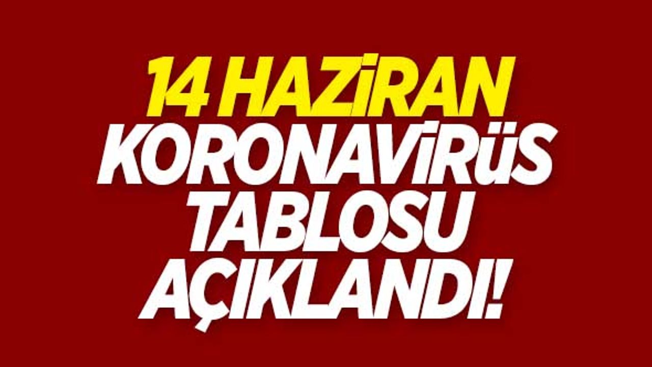 14 Haziran koronavirüs tablosu açıklandı!