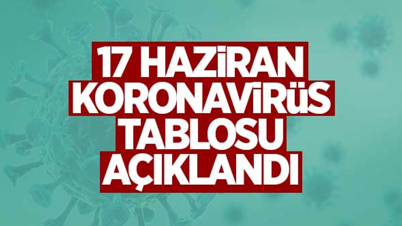 17 Haziran koronavirüs tablosu açıklandı!