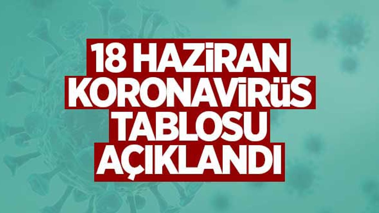 18 Haziran koronavirüs tablosu açıklandı
