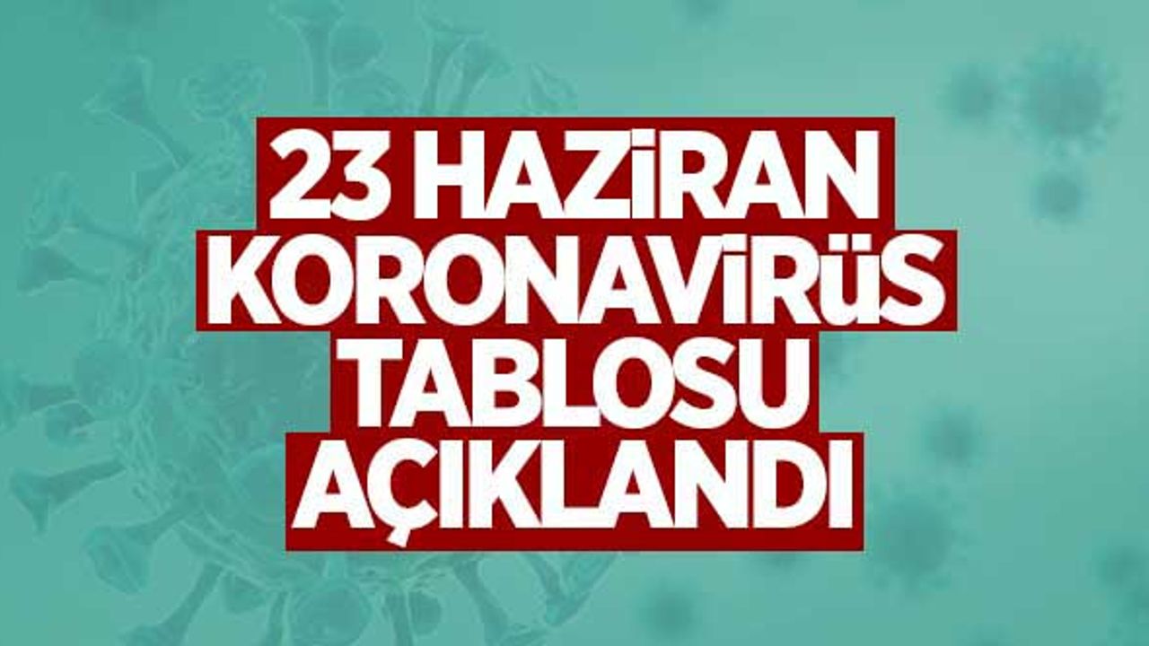 23 Haziran koronavirüs tablosu açıklandı!