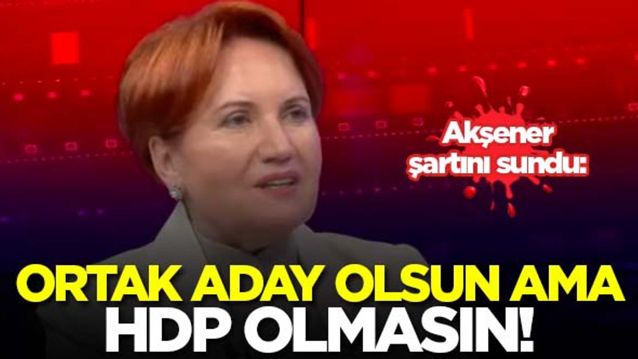 Akşener: Ortak aday çıkaralım ama HDP olmasın