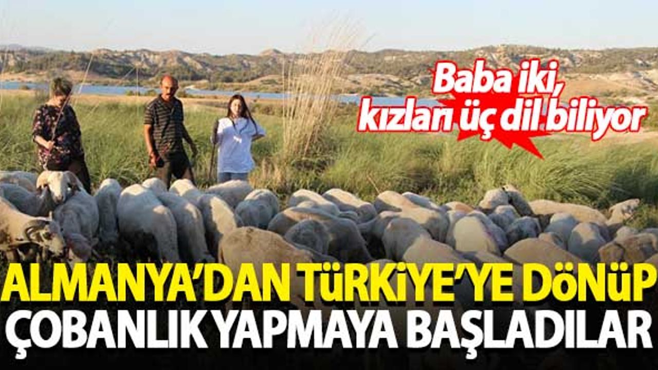 Almanya'dan Türkiye'ye döndüler, çobanlık yapmaya başladılar
