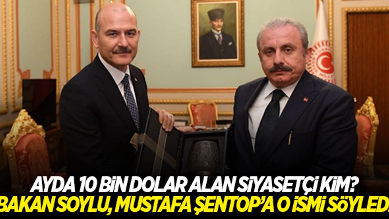 Bakan Soylu, ayda 10 bin dolar alan siyasetçiyi Mustafa Şentop'a söyledi!