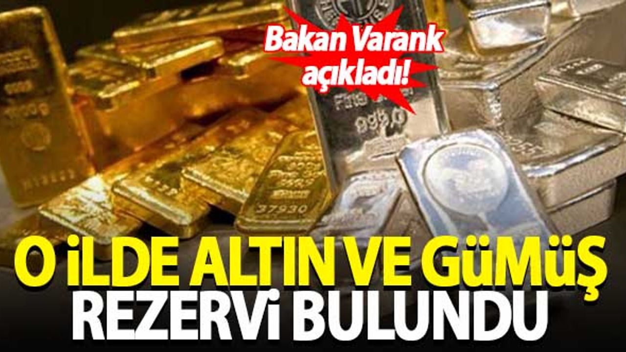 Bakan Varank duyurdu! O ilde altın ve gümüş rezervi bulundu...