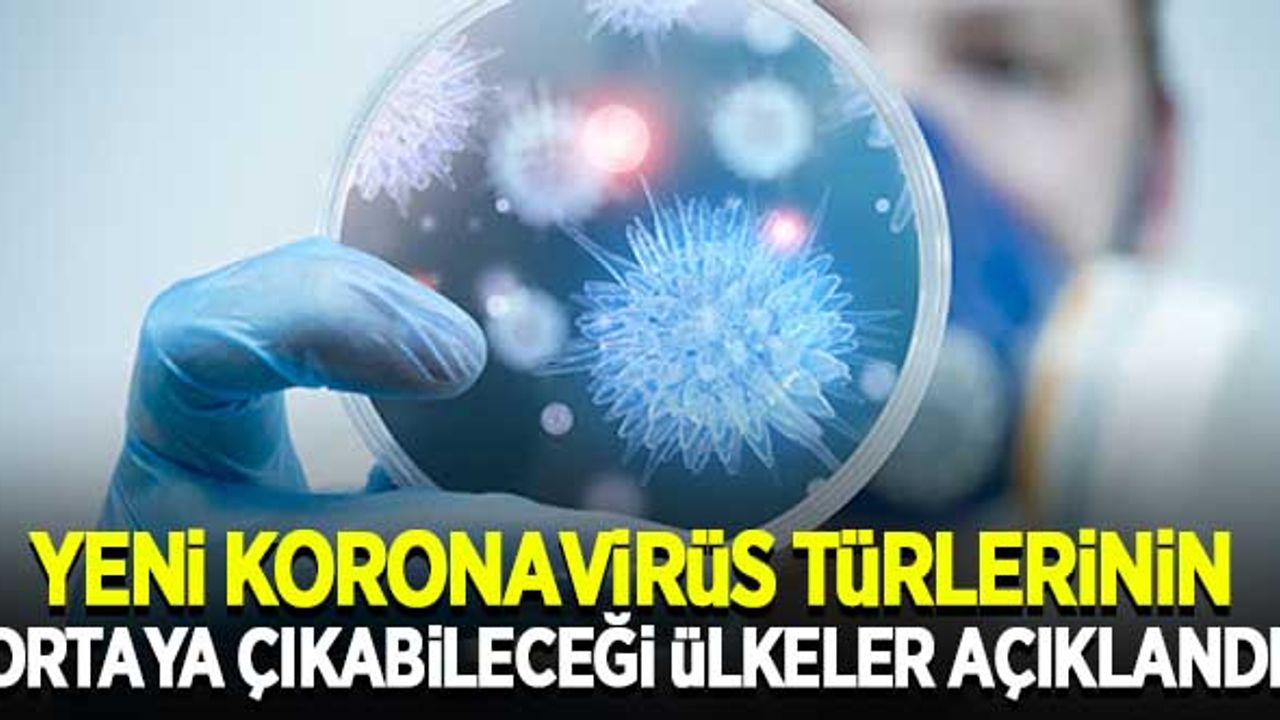 Bilim insanları, yeni koronavirüs türlerinin ortaya çıkabileceği ülkeleri ortaya koydu