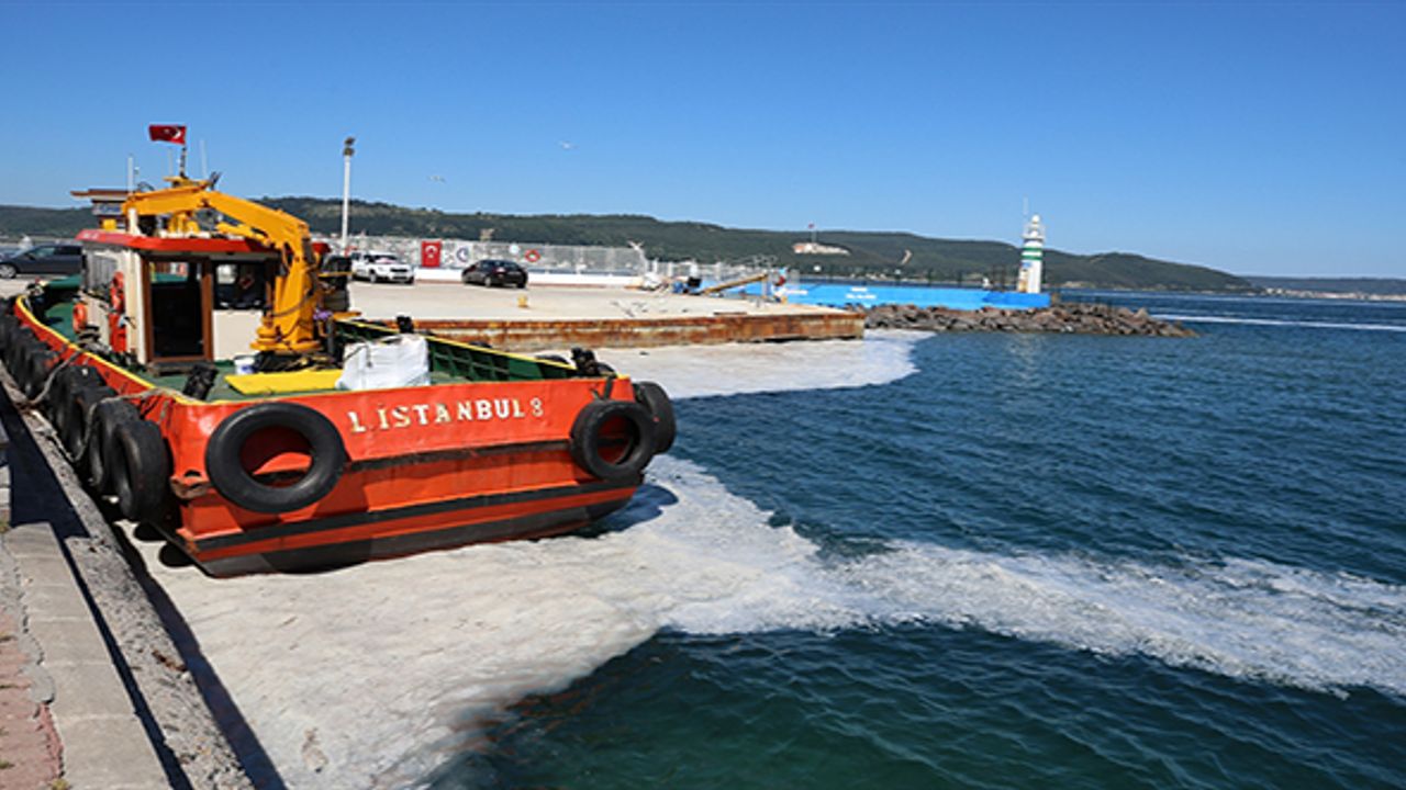 Çanakkale Boğazı'nda müsilaj yoğunluğu artıyor