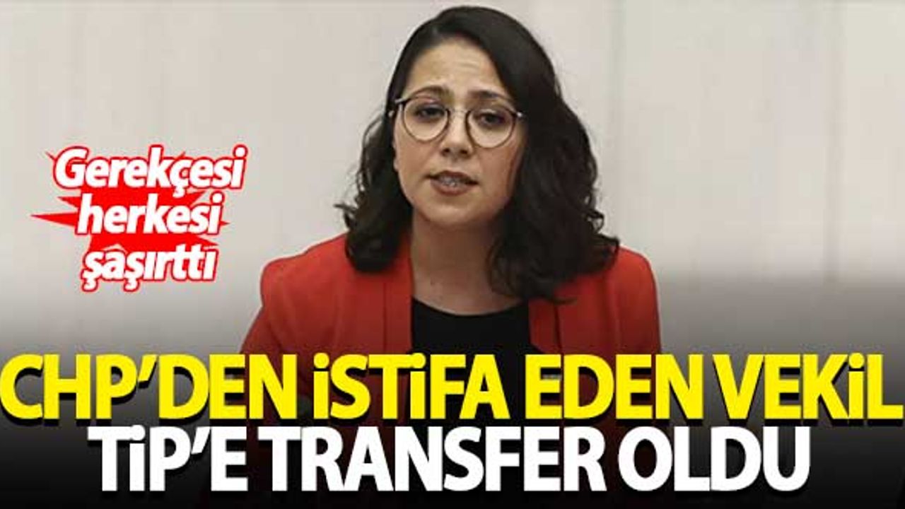 CHP'den istifa eden Sera Kadıgil TİP'e transfer oldu