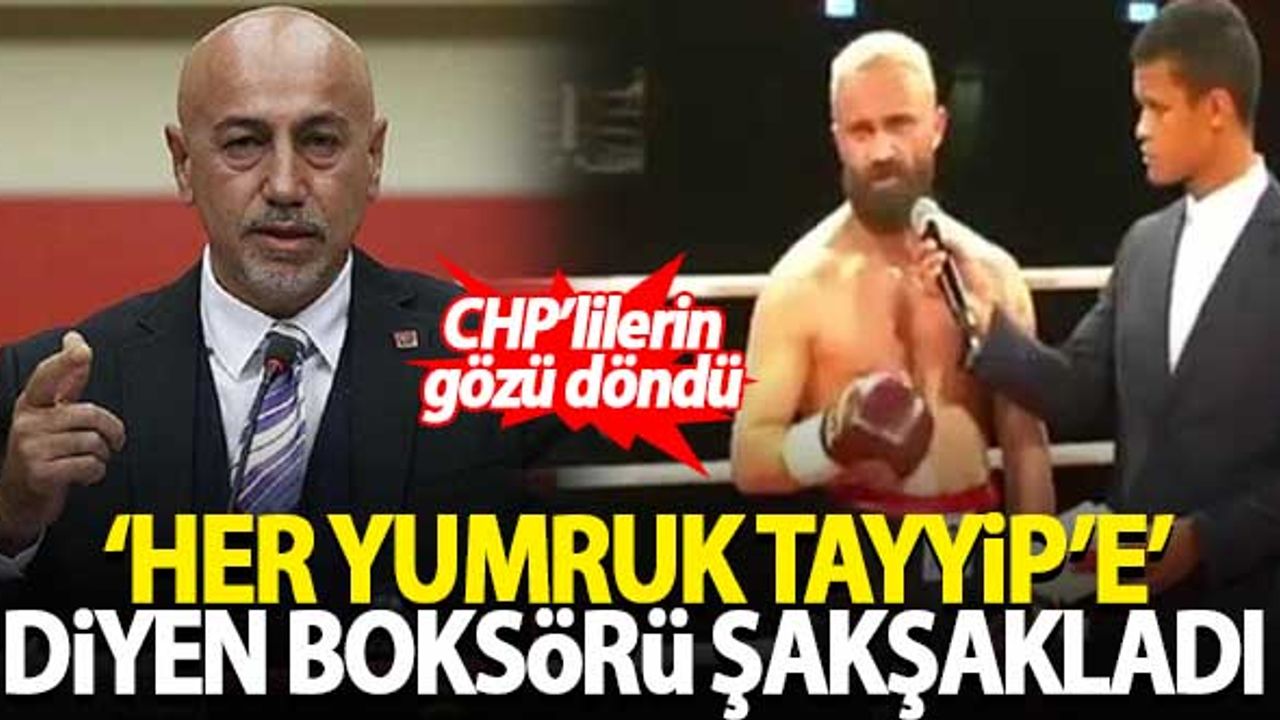 CHP'li Aksünger, 'Her yumruk Tayyip'e' diyen boksörü paylaşarak şakşakladı
