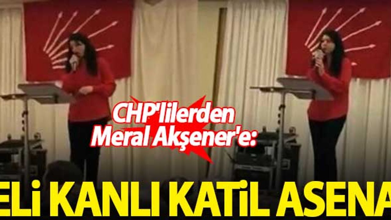 CHP'lilerden Meral Akşener'e: Eli kanlı katil asena