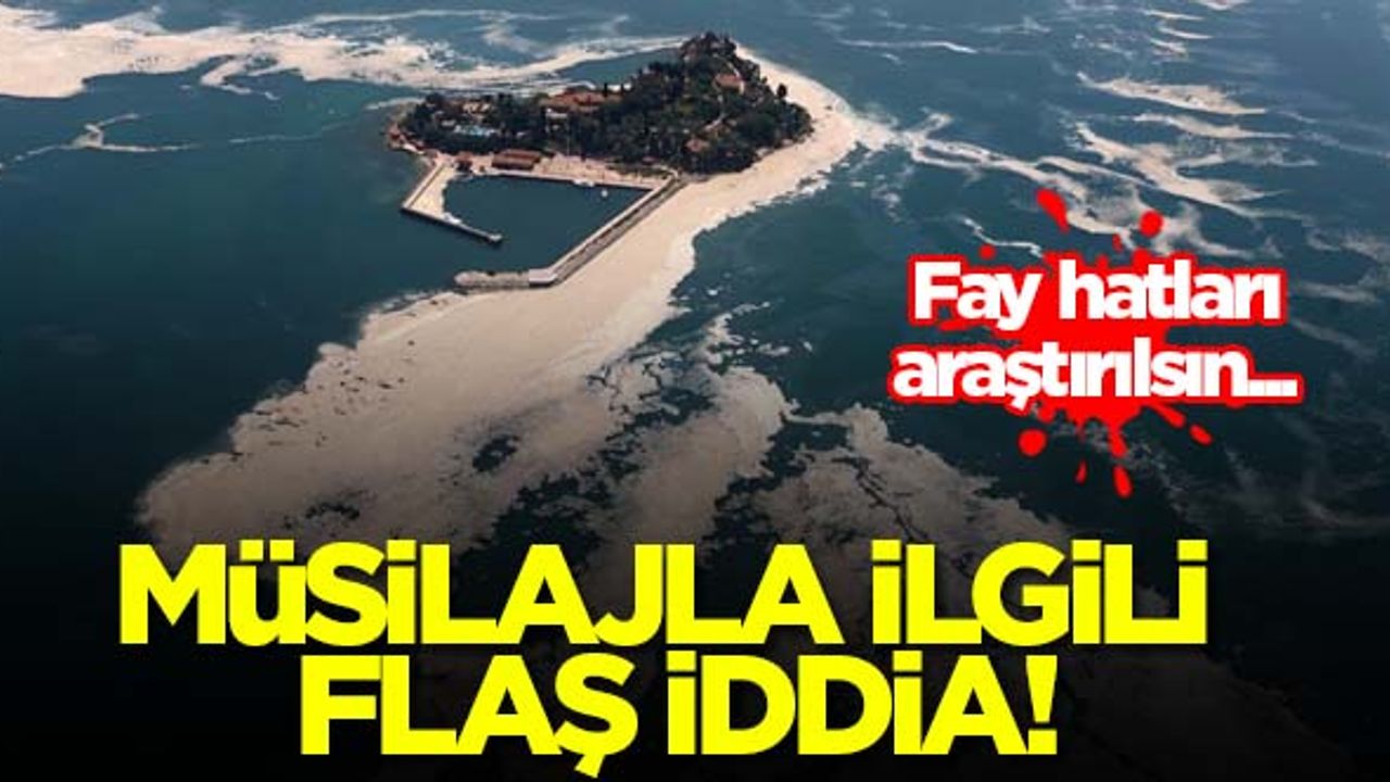 Deniz salyasıyla ilgili flaş iddia! Fay hatları araştırılsın...