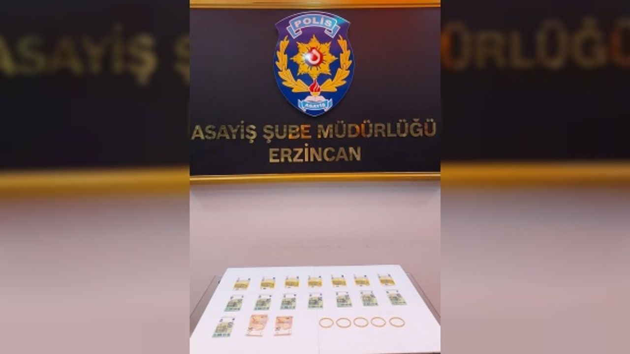 Erzincan'da darbettiği kadının para ve ziynet eşyasını gasbettiği iddiasıyla bir kişi tutuklandı