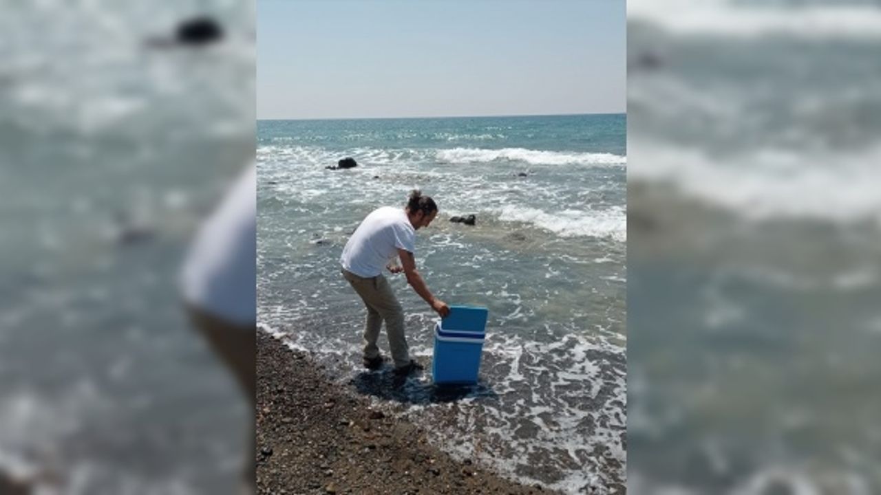 Hatay sahil şeridinde görülen sıvının ilk belirlemelere göre müsilaj olmadığı bildirildi