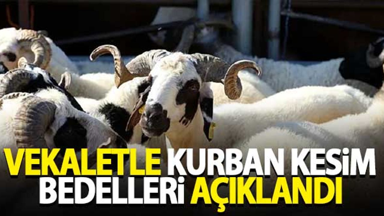 Kızılay vekaletle kurban kesim bedellerini açıkladı