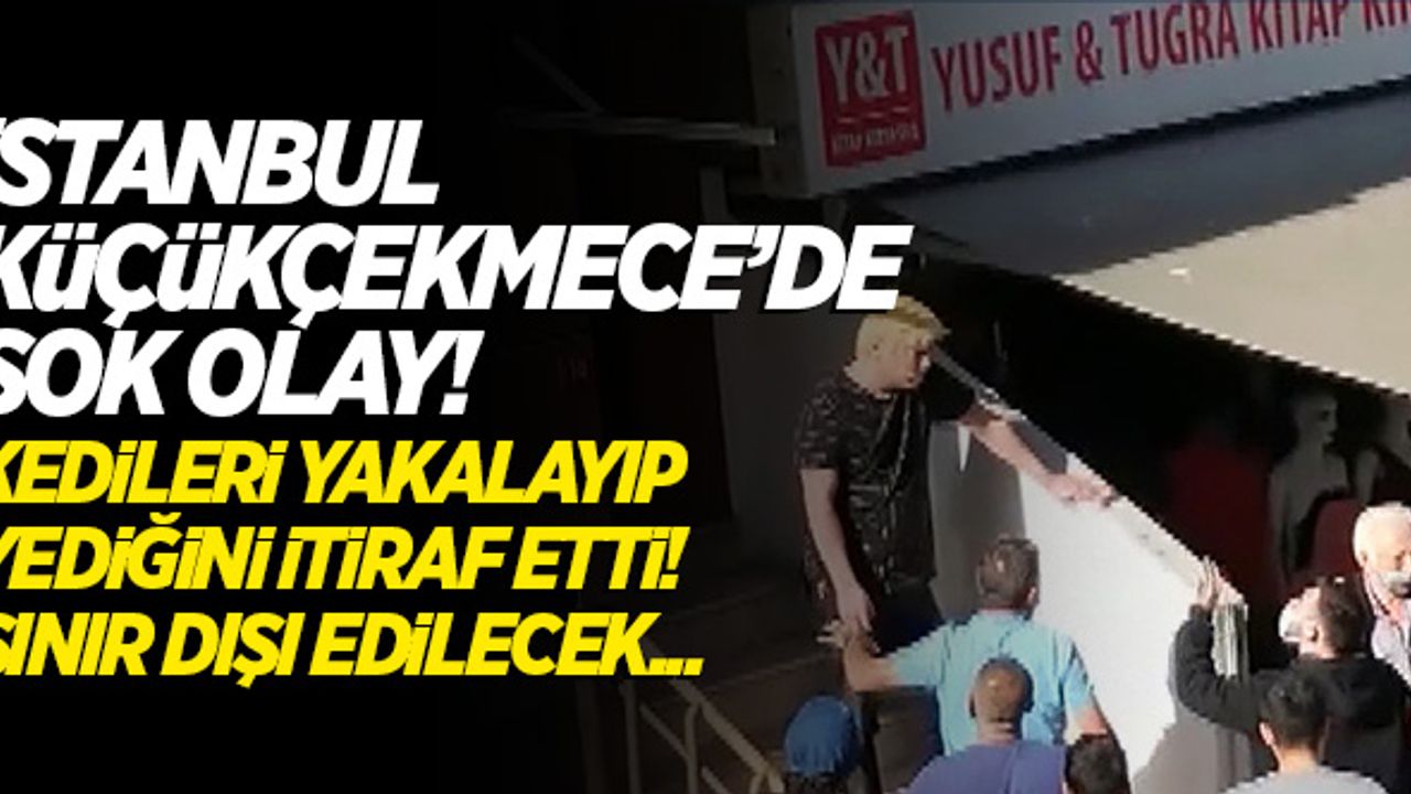 Küçükçekmece'de kedileri kesip yediğini itiraf etti, para cezası verildi! Sınır dışı edilecek...