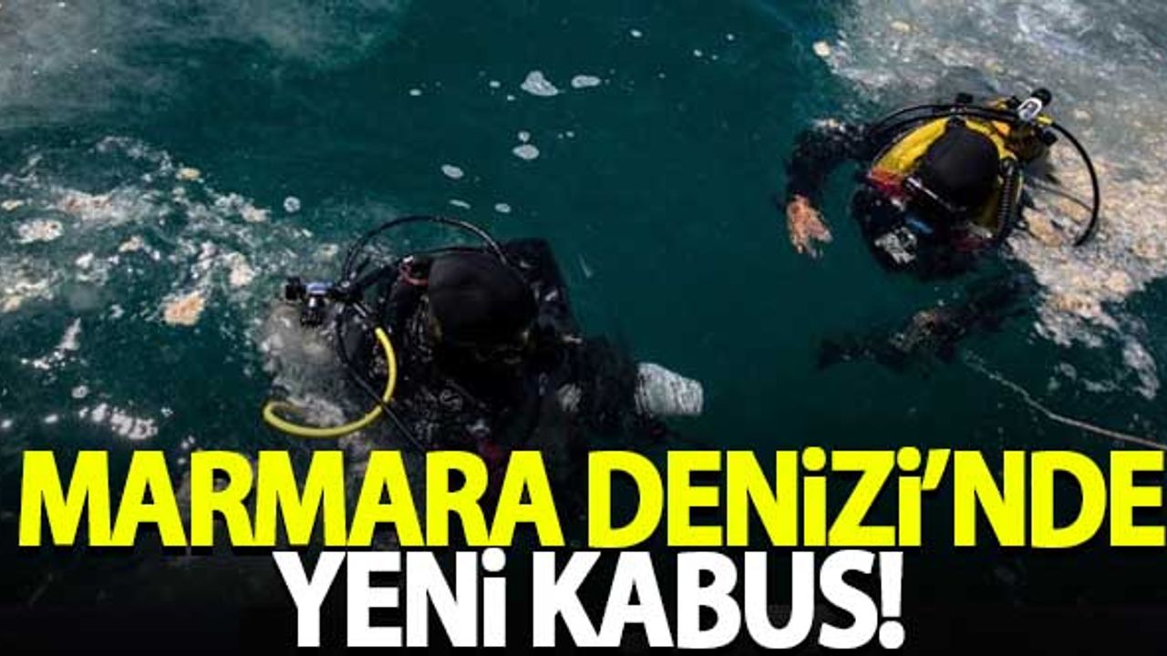 Marmara Denizi'nde yeni kabus: Ölümcül gaz