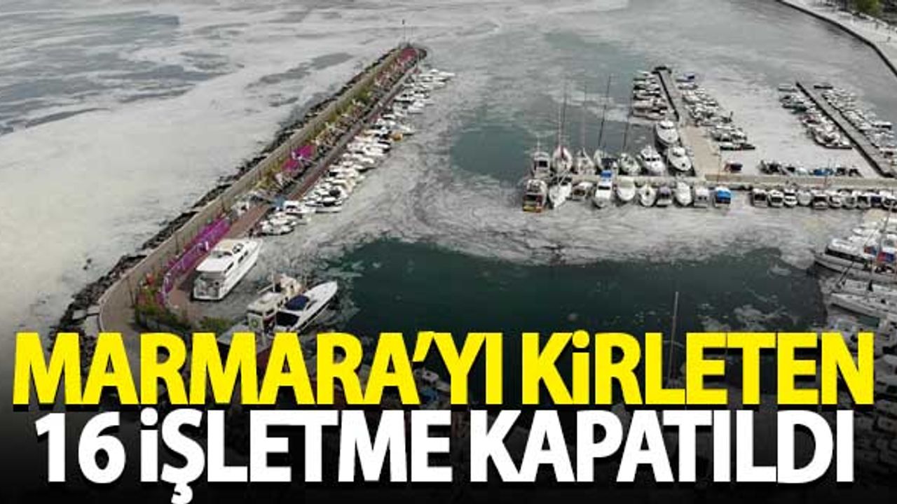Marmara Denizi'ni kirleten 16 işletme kapatıldı