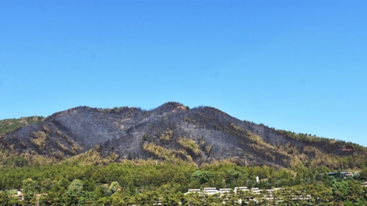 Marmaris'te yanan ormanlık alan denizden görüntülendi