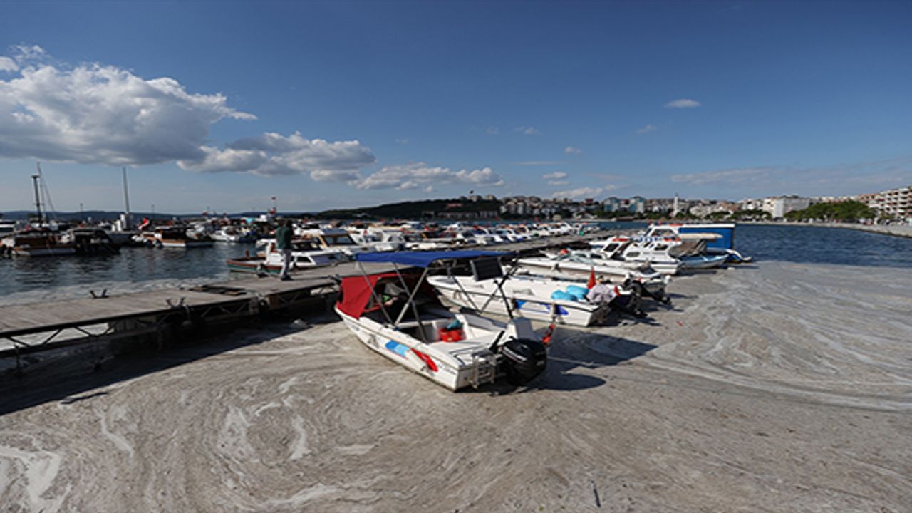 Müsilaj Bursa ve Çanakkale sahillerine de yayıldı