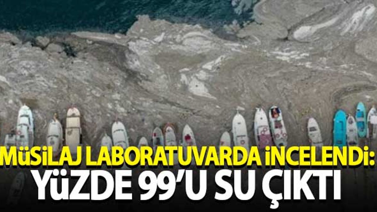 Müsilaj laboratuvarda incelendi: Yüzde 99'u su çıktı