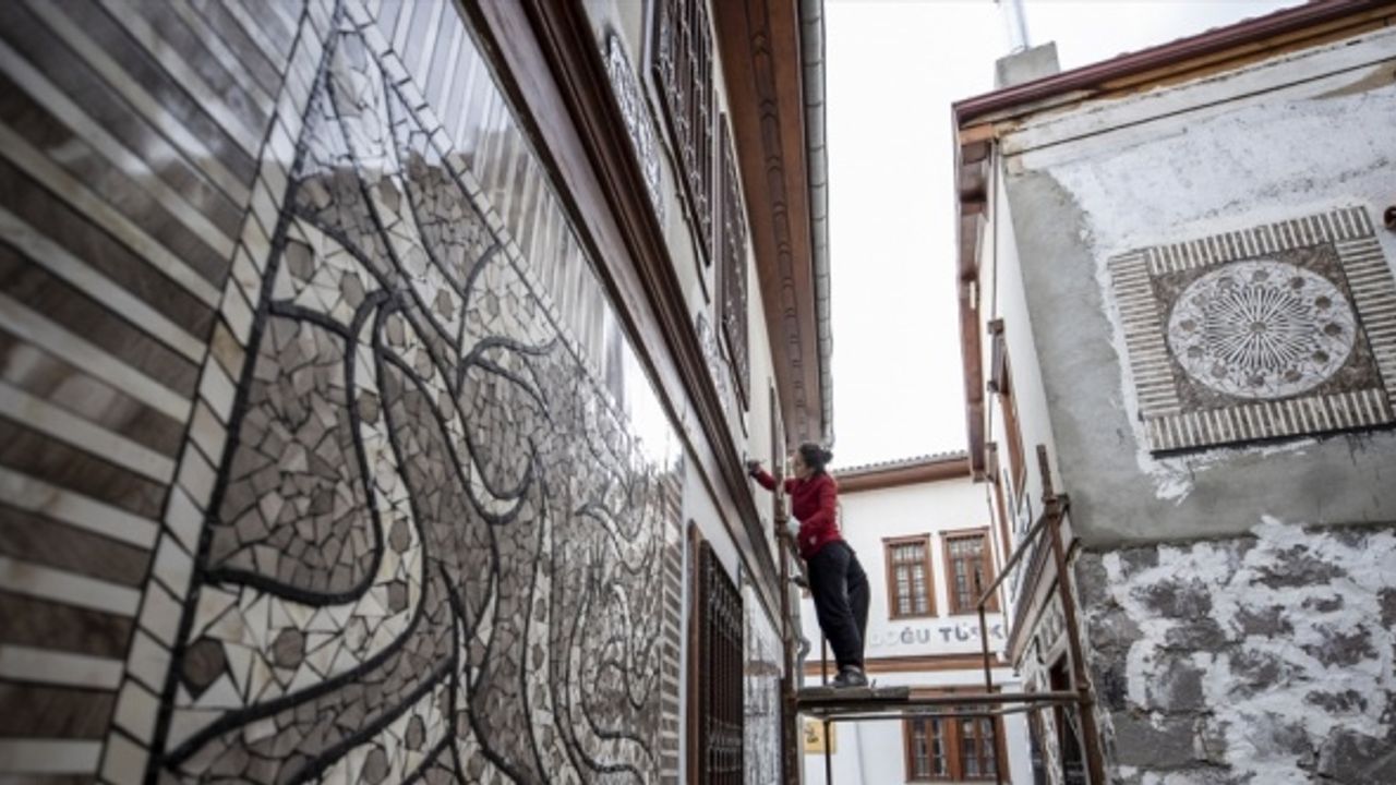 Sanatçı Menekşe Bilgiç'in eserleri, Fener Sokak duvarlarını süsleyecek