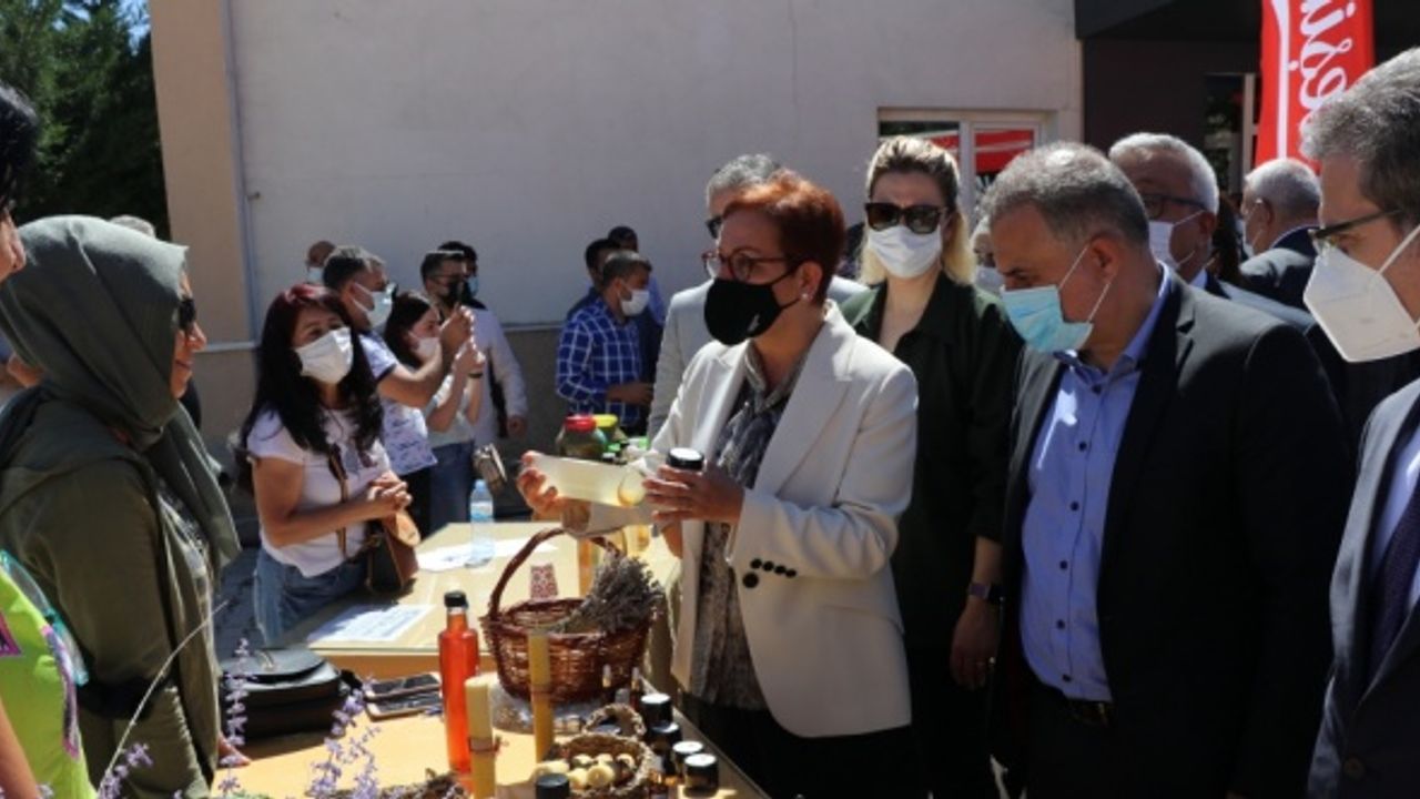 Tarım ve Orman Bakan Yardımcısı Ayşe Ayşin Işıkgece, Elazığ'da kadın çiftçilerle buluştu
