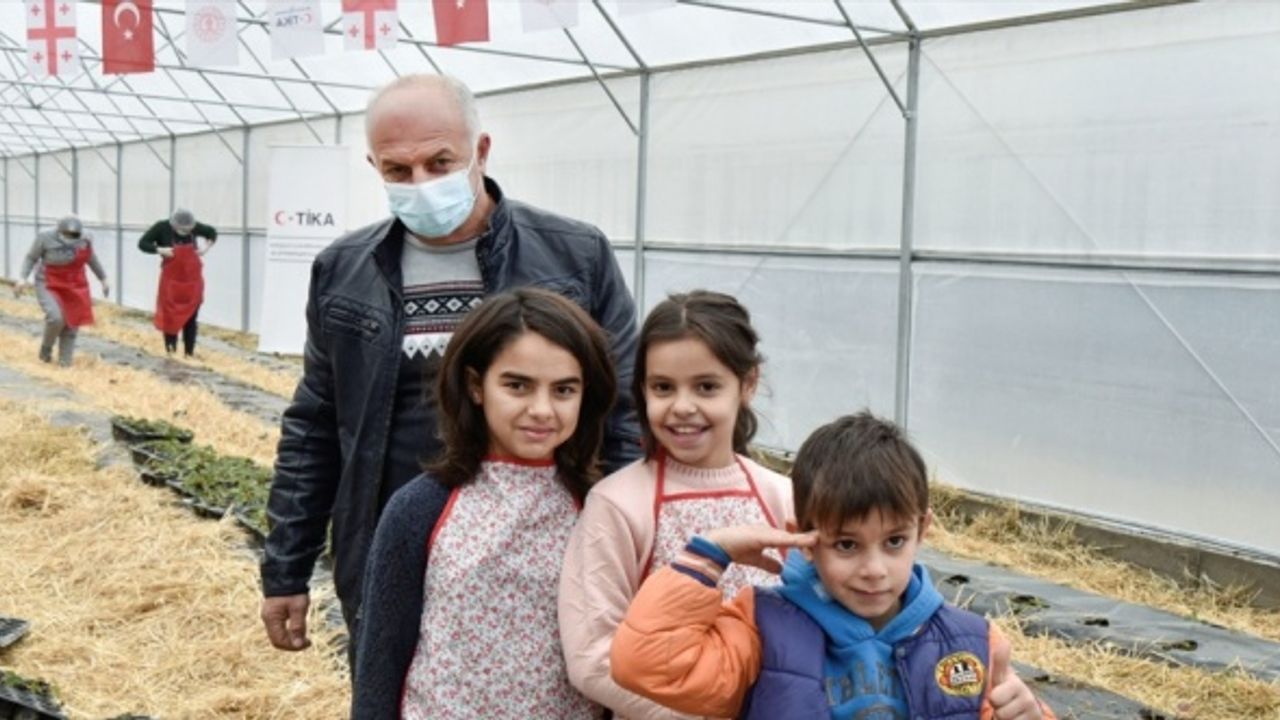 TİKA’nın Gürcistan'da sosyal merkez bünyesinde kurduğu sera ilk meyvelerini verdi