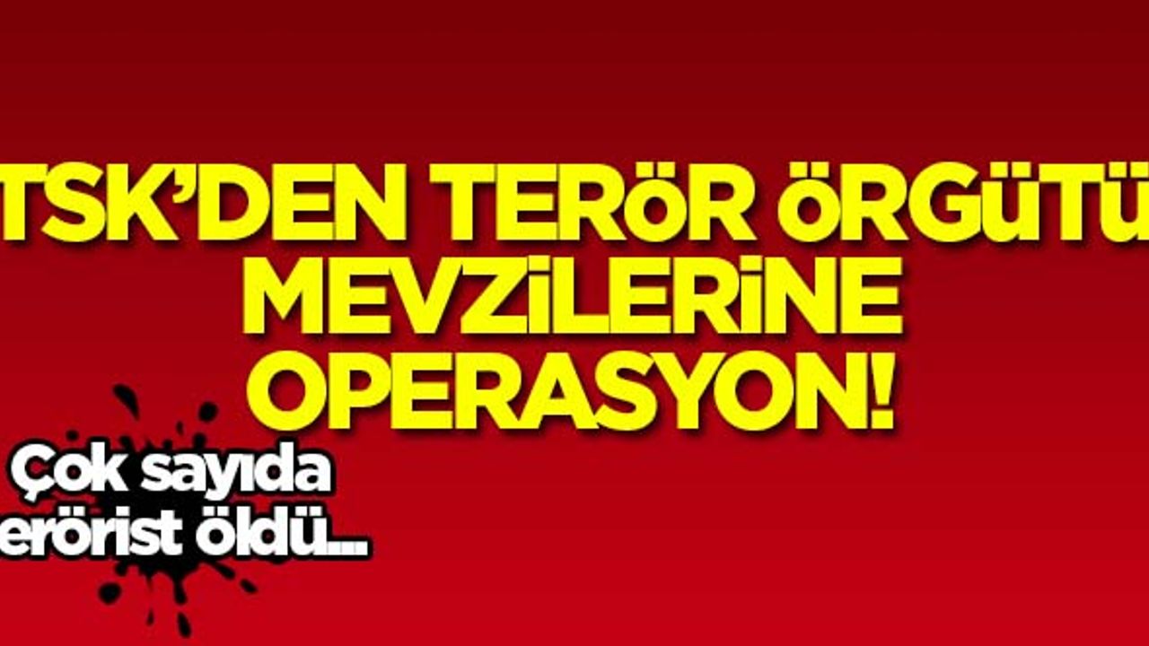 TSK'dan terör örgütü mevzilerine operasyon! Çok sayıda terörist öldü...