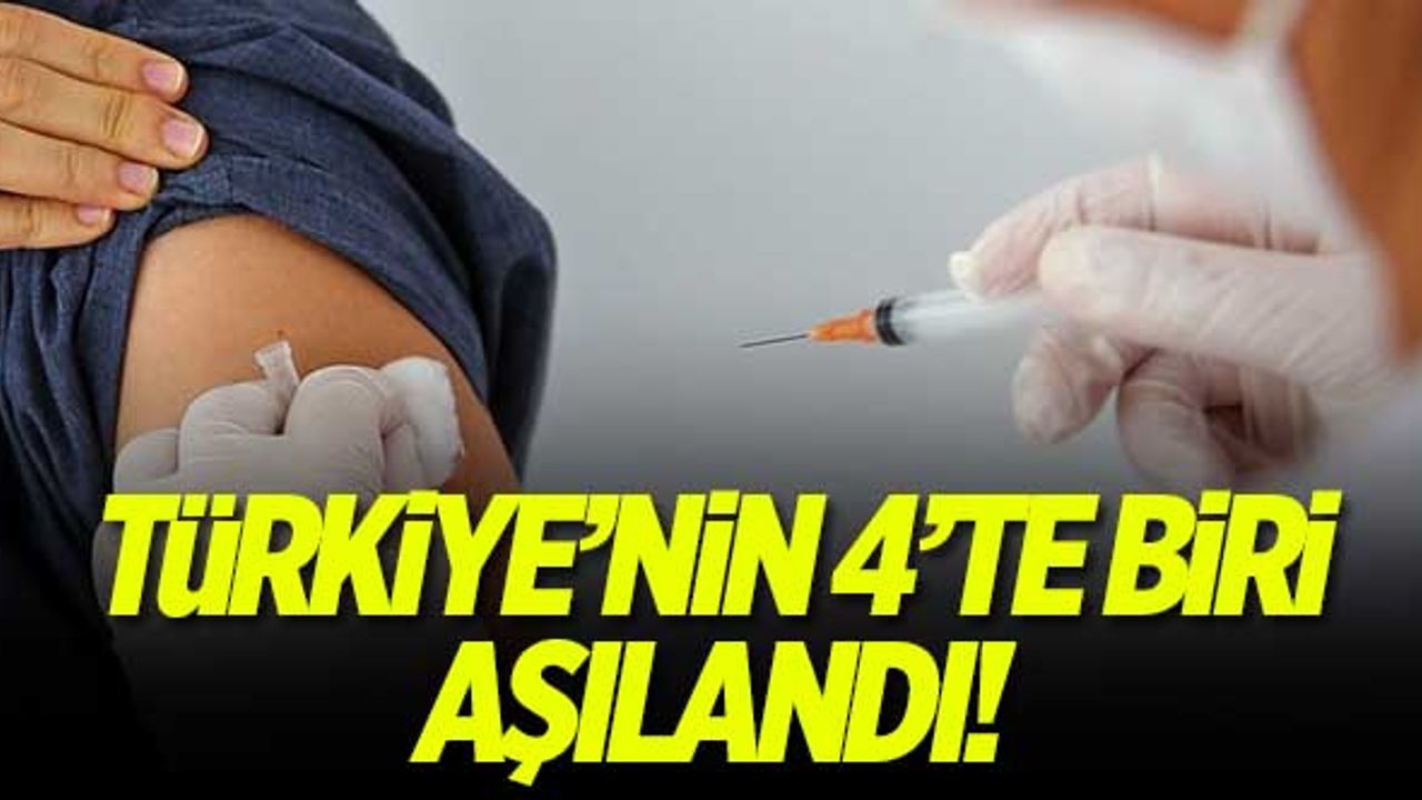 Türkiye'nin 4'te biri aşılandı!