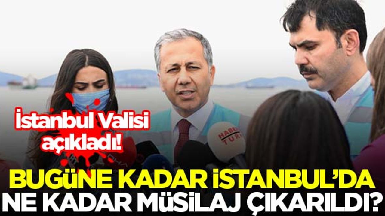 Vali açıkladı! Bugüne kadar İstanbul'da ne kadar müsilaj temizlendi?