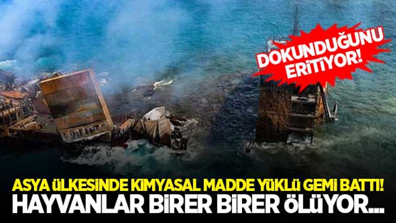 Asya ülkesinde kimyasal madde yüklü gemi battı! Hayvanlar birer birer ölüyor...