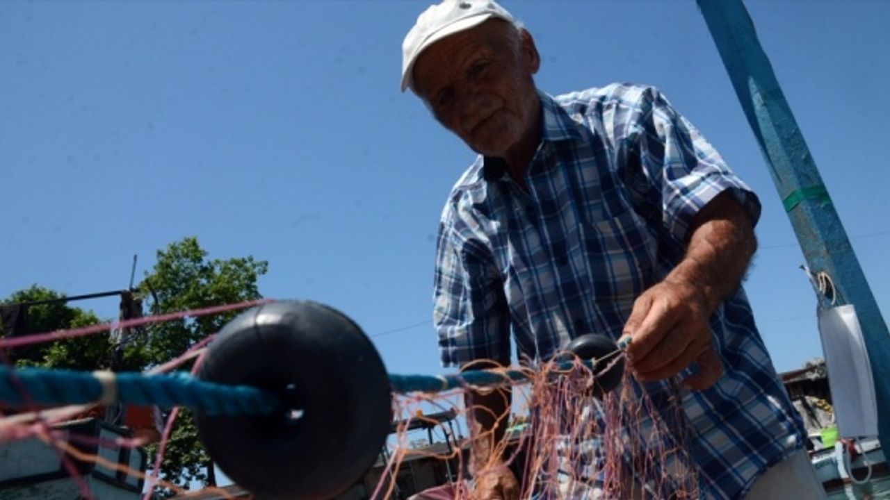 Batı Karadeniz'de hamsi kilosu 60 liradan satılıyor