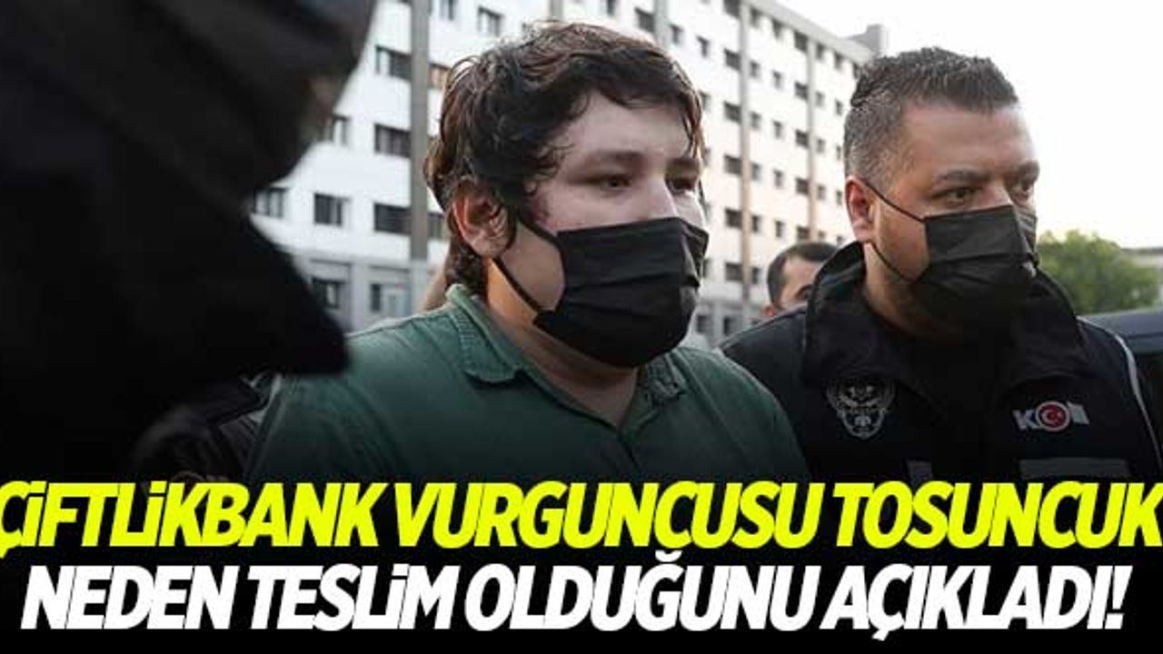 Çiftlikbank vurguncusu Mehmet Aydın neden teslim olduğunu açıkladı