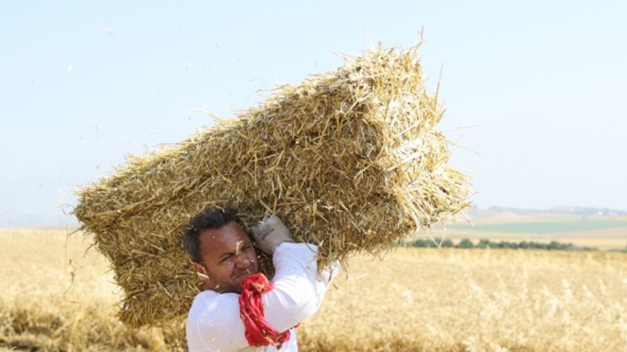 Edirne'de okul müdürü, öğrencilerine destek için balya işçisi velilerle çalıştı
