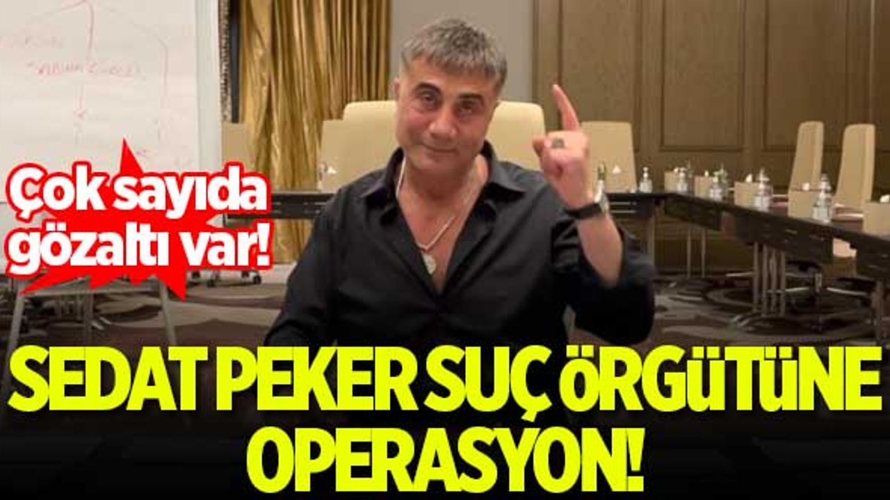 Sedat Peker suç örgütüne operasyon: 15 gözaltı