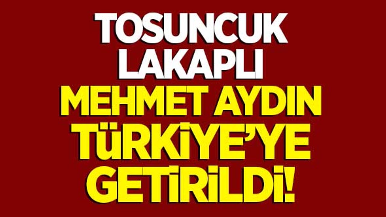 'Tosuncuk' lakaplı Mehmet Aydın Türkiye'de!