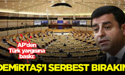 Avrupa Parlamentosu'ndan Türk yargısına baskı: Selahattin Demirtaş'ı serbest bırakın